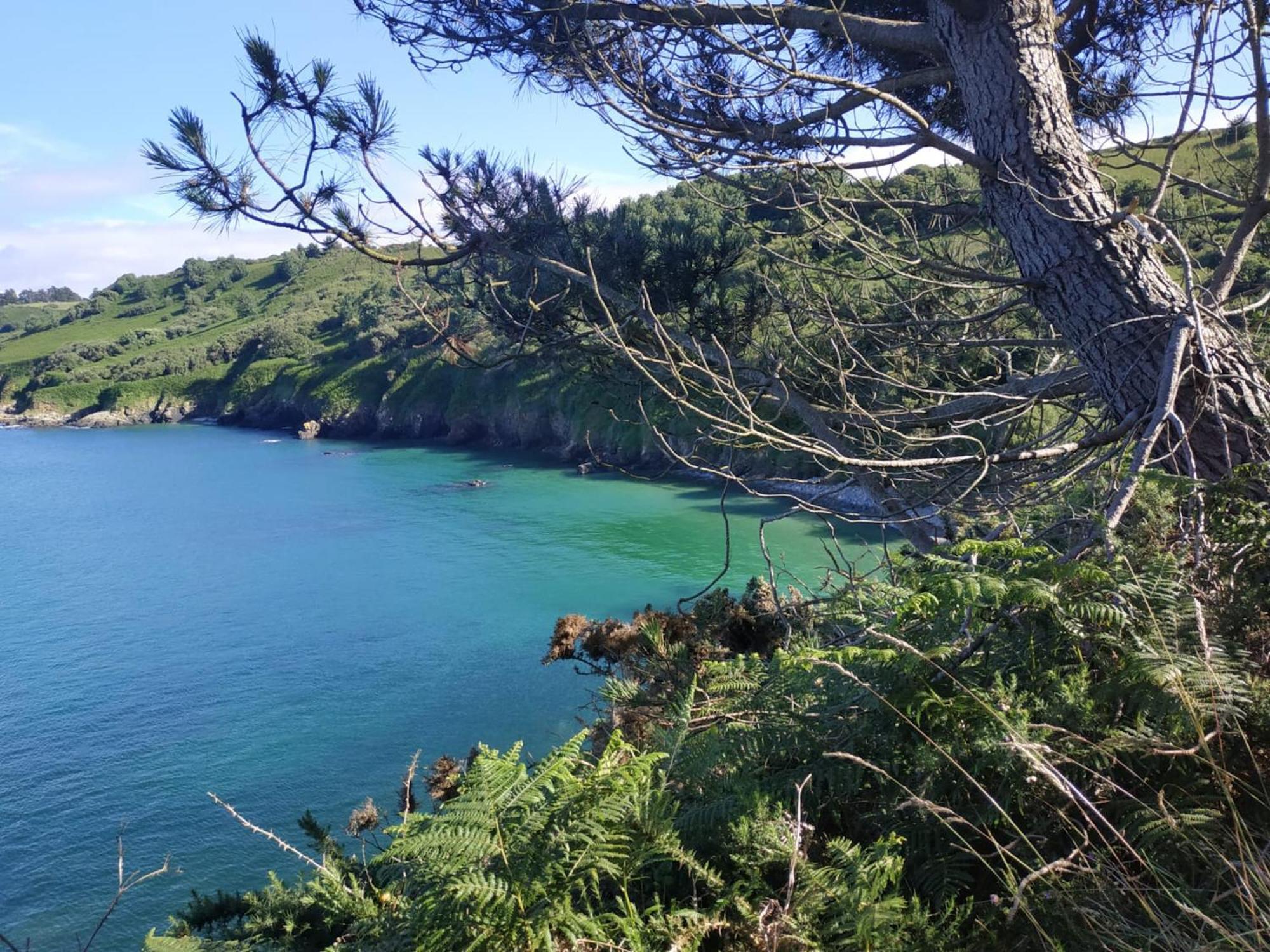 Maison Cosy Vue Mer A Guimaec Eksteriør bilde